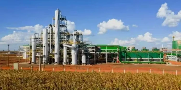 Vendas totais de etanol caíram 4% na 1ª quinzena de dezembro