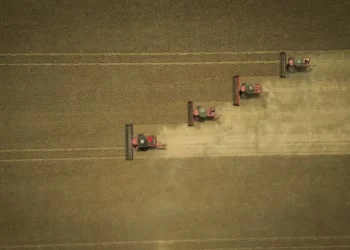 Colheita de lavoura de soja. Preços do grão foram pressionados ao longo de 2024, destaca o Cepea — Foto: Wenderson Araújo/CNA