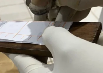 O corpo foi identificado com precisão pelos papiloscopistas do Instituto de Identificação do Tocantins - Foto: Divulgação Polícia Científica TO file_download