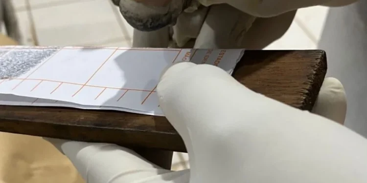 Polícia Científica do Tocantins identifica o corpo de mais uma vítima do desabamento da Ponte JK (atualizado 29/12 – 16h)