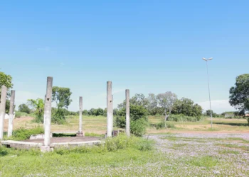 crédito foto: Francisco Barros / Secom Palmas