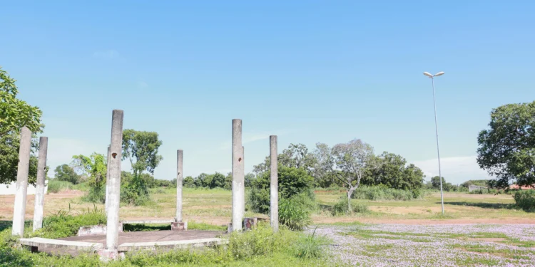 crédito foto: Francisco Barros / Secom Palmas