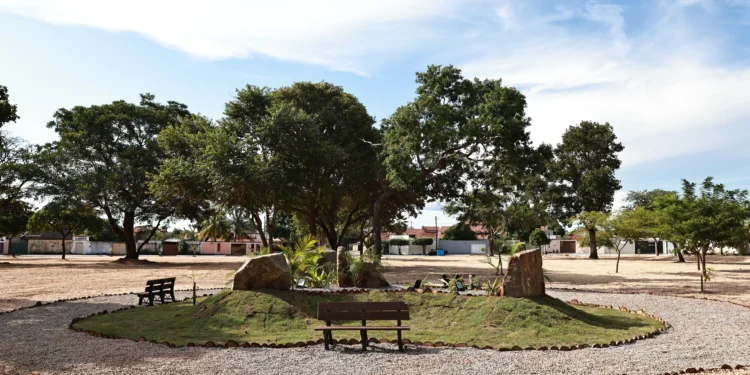 Moradores de Palmas comemoram reconstrução da praça da Arso 121
