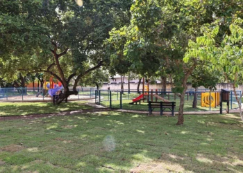 crédito foto: Francisco Barros / Secom Palmas