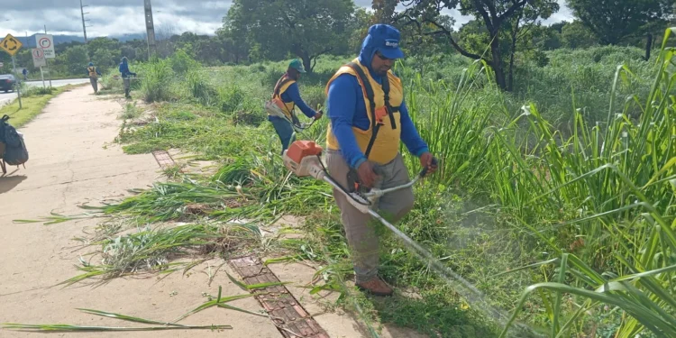 Prefeitura continua com trabalhos de limpeza pela Capital