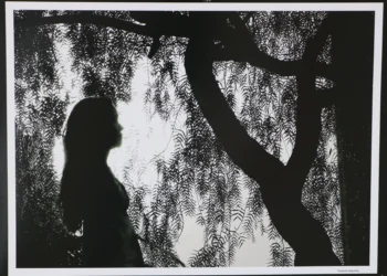 crédito foto: Divulgação