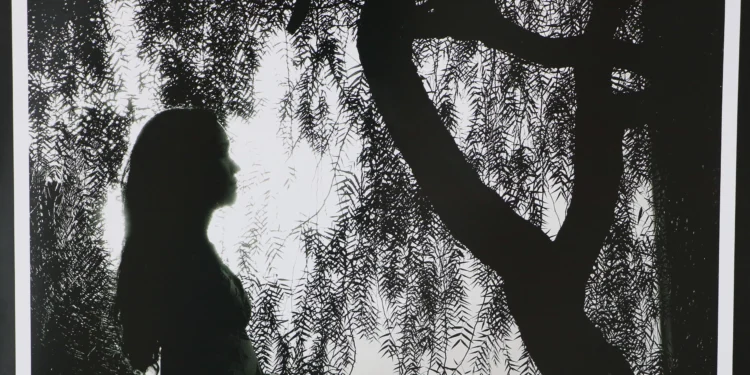 Fundação Cultural de Palmas recebe exposição ‘Nativos’, de Fernando Amazônia