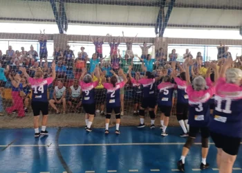 O Projeto Vó Vôlei foi iniciado em 2019 como uma opção de exercício físico para os idosos frequentadores do Parque Municipal da Pessoa Idosa Francisco Xavier de Oliveira