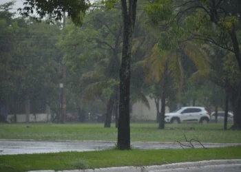 É importante seguir dicas simples de segurança e estar atento neste período chuvoso