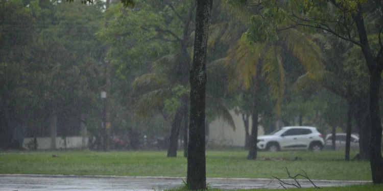 É importante seguir dicas simples de segurança e estar atento neste período chuvoso