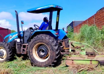 Tratores estão roçando o mato alto das quadras da Capital