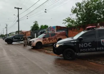 Crédito: Divulgação Ficco/TO