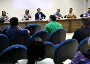 Reunião do Conselho do Previpalmas abriu trabalhos de 2025