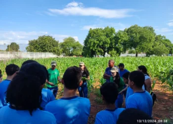 Alunos do oitavo ano participam das atividades sob supervisão da equipe do projeto