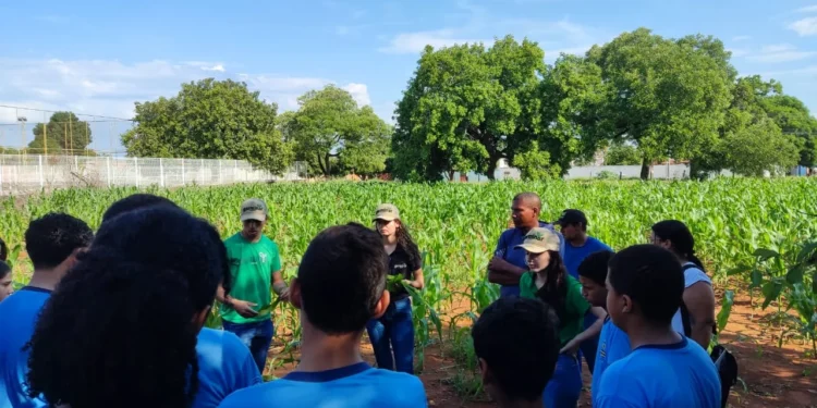 Alunos do oitavo ano participam das atividades sob supervisão da equipe do projeto