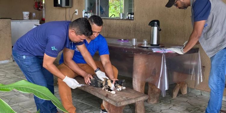 Semus retoma imunização antirrábica na zona rural de Palmas