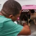 Serão disponibilizadas 200 vagas, distribuídas entre o agendamento via sistema e aquelas destinadas diretamente aos animais sob tutela de ONGs