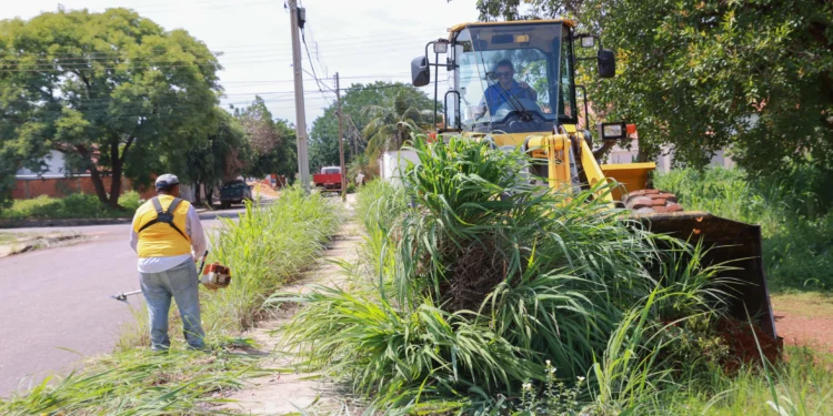 Confira programação da Operação Palmas Cidade Limpa desta segunda-feira, 6