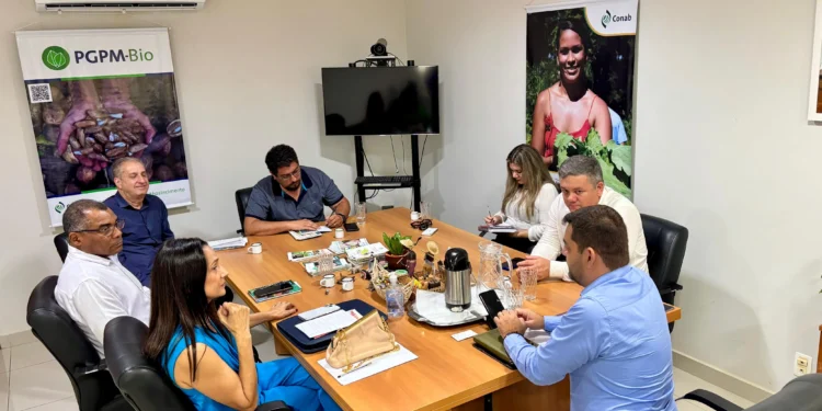 Ação Social se reúne com Conab e Ministério do Desenvolvimento Agrário do Tocantins em Palmas