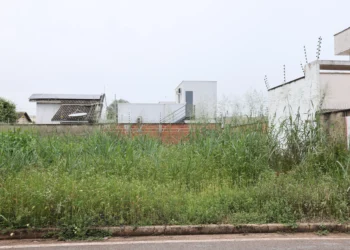 Lotes devem ser carpinados ou roçados pelo menos duas vezes ao ano