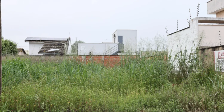 Proprietários de lotes devem fazer limpeza do local duas vezes por ano