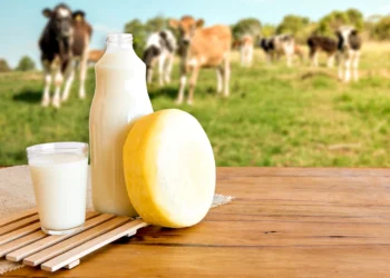 O laticínio produz queijo mussarela, ricota e creme de soro de leite. Foto: Divulgação Designi (banco de imagens)