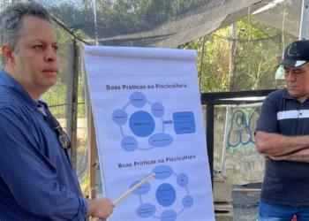 A palestra teve como foco principal a orientação de técnicos e produtores que lidam diariamente com a piscicultura no Tocantins. Foto: Divulgação/Adapec