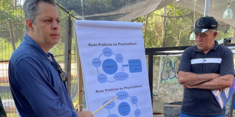 A palestra teve como foco principal a orientação de técnicos e produtores que lidam diariamente com a piscicultura no Tocantins.

Foto: Divulgação/Adapec