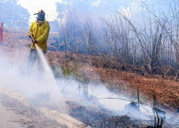 Bombeiros militares e brigadistas combatem incêndio florestal nas proximidades da UPA Norte, em Palmas - Crédito: Luiz Henrique Machado/Governo do Tocantins