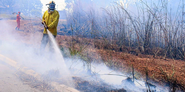 Em ano marcado por eventos climáticos, Governo do Tocantins atua de forma rápida e coordenada na proteção e na conscientização da população