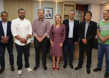 Representantes do Governo do Tocantins, Defensoria Pública e do Conselho de Promoção da Igualdade Racial discutem a implementação de políticas públicas de combate ao racismo