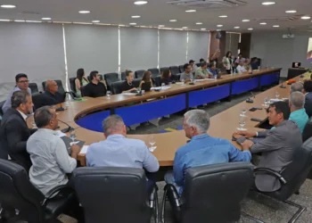 No encontro, ficou estabelecido que o Governo do Tocantins vai atuar para providenciar a travessia de pessoas de forma gratuita entre os dois municípios