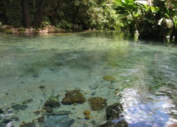 Aurora do Tocantins tem como roteiro destaque o Rio Azuis, o menor rio do Brasil e o terceiro menor do mundo - Crédito: Mazim Aguiar/ Governo do Tocantins