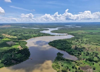 Com aeronave, amplas áreas foram monitoradas num curto período de tempo - Foto: Domingos Garrone Neto/Arquivo Pessoal