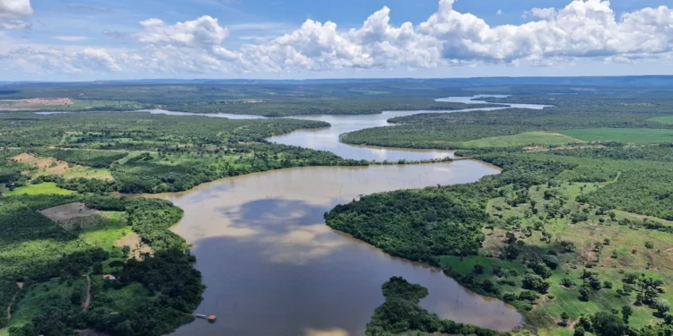 Com aeronave, amplas áreas foram monitoradas num curto período de tempo - Foto: Domingos Garrone Neto/Arquivo Pessoal