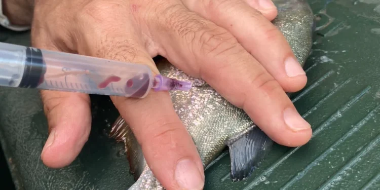 Seduc prorroga período de matrículas para nova unidade escolar de Buritirana