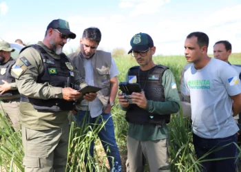 Secretário Marcello Lelis atribui queda no desmatamento ao esforço conjunto envolvendo os órgãos ambientais, junto com a comunidade e o setor produtivo. Whashington Luiz/Governo do Tocantins