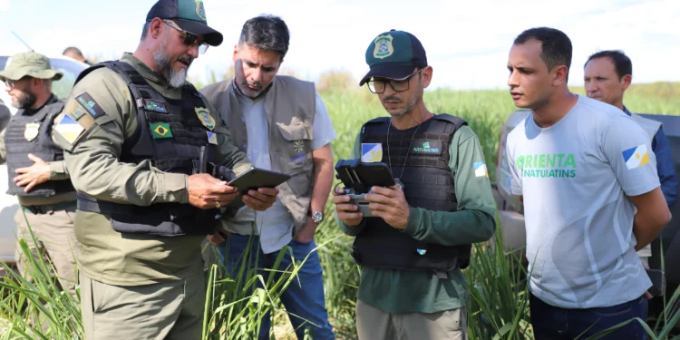 Governo do Tocantins registra queda de 43,4% no desmatamento em cinco meses