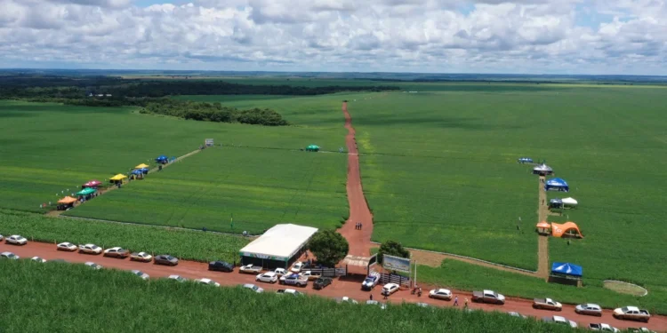 Apoiando ampliação de produtividade, inovação e atuação estratégica aos produtores, Sicredi marca presença na XI Jornada Tecnológica de Pedro Afonso