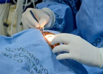 No Tocantins 257 pessoas estão na lista de espera para receber o transplante de córnea