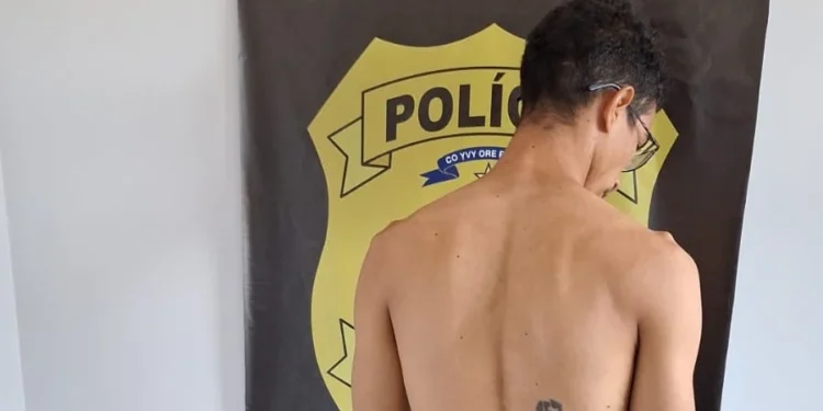 72ª Delegacia de Polícia Civil destaca números positivos que fortaleceram a segurança do distrito de Luzimangues em 2024