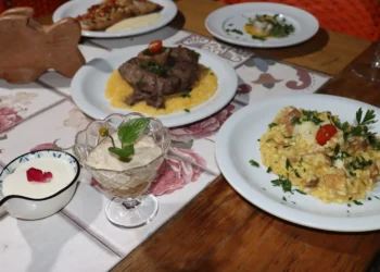 Pratos enaltecem produtos típicos do Cerrado e símbolos da gastronomia tocantinense_Mazim Aguair-Governo do Tocantins