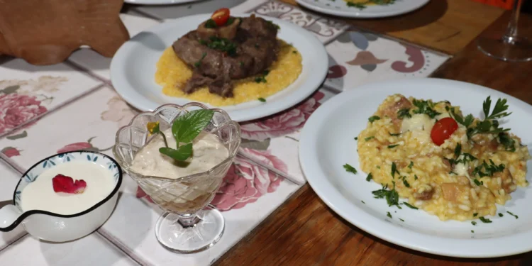 Pratos enaltecem produtos típicos do Cerrado e símbolos da gastronomia tocantinense_Mazim Aguair-Governo do Tocantins