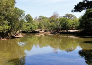 Boletim aponta contínua elevação do nível dos rios no estado em virtude do aumento percentual da precipitação. - Foto: Marcel de Paula/Governo do Tocantins