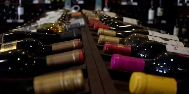 Quais os melhores vinhos do Brasil em 2024? Veja a lista