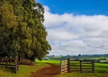 Levantamento de fazendas foi realizado pela plataforma Chaozão — Foto: Adriano Brito/CNA