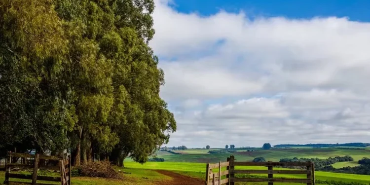 Veja as dez fazendas mais caras do Brasil em 2024