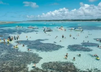 Justiça Federal suspende turismo na Lagoa Azul, em Maragogi • Agência Alagoas