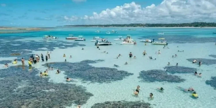 Justiça Federal suspende turismo na Lagoa Azul, em Maragogi • Agência Alagoas