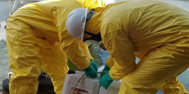 Carga de agrotóxicos que caiu com ponte entre o TO e o MA deve ser retirada de rio no fim de abril, diz Ibama